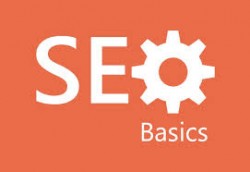 basic seo India