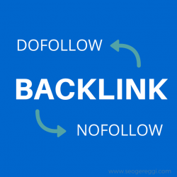 BACK Links SEO