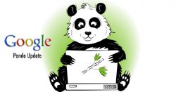 google panda update